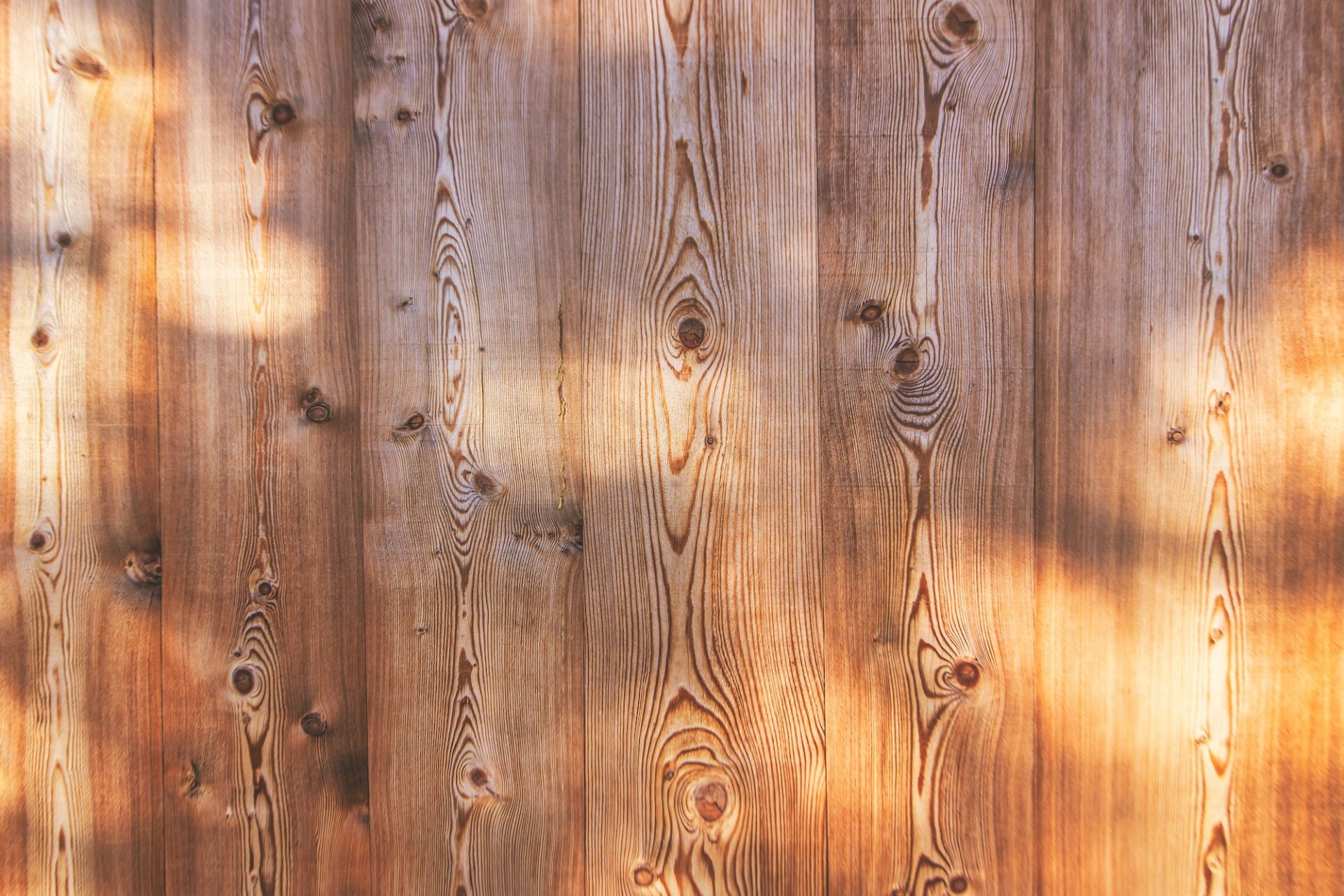 Background of larch wood planks