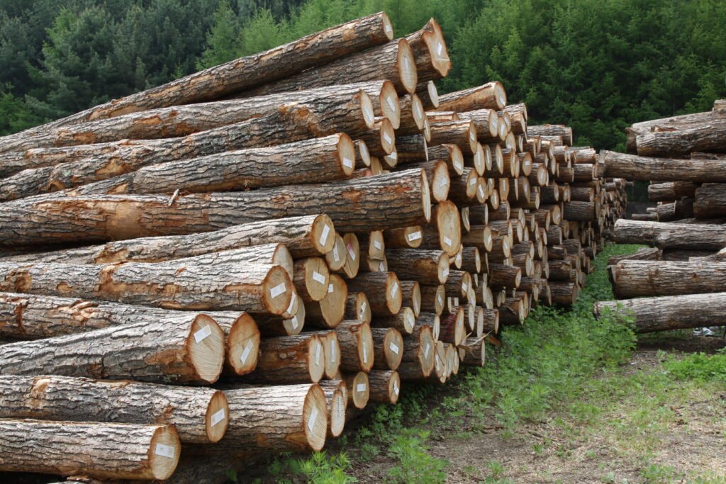 Raw Wood